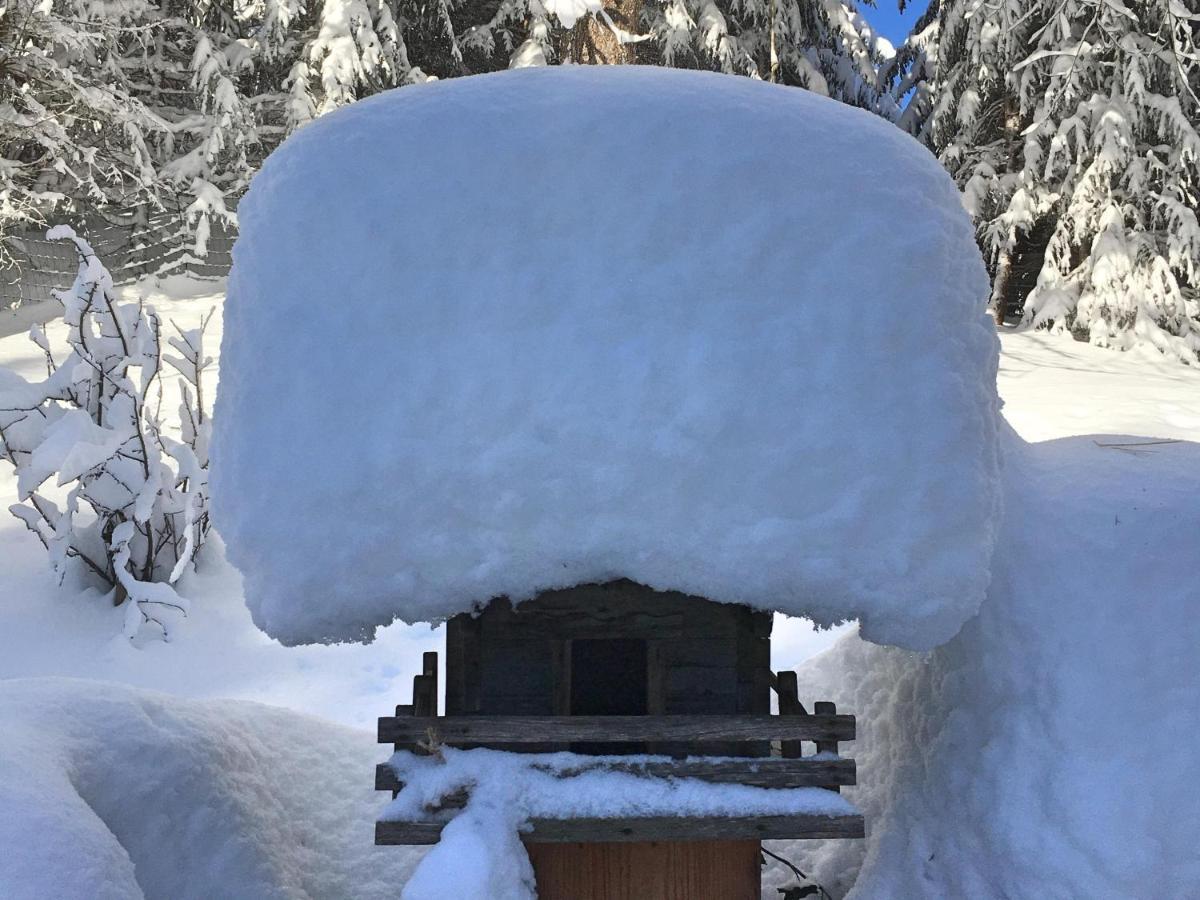 Guffertblick Villa Achenkirch Exteriör bild