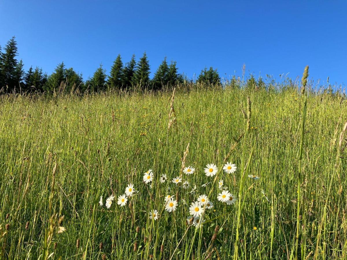 Guffertblick Villa Achenkirch Exteriör bild